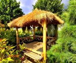 Festiwal_kwiatów_Minieuroland_5