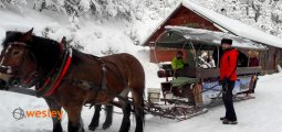 kulig_Wisla_3