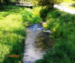 Ojcowski_Park_Narodowy_6