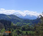 Palenica_widok_na_Tatry