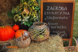 Zagroda_Stefanówka_1