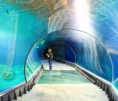 wroclaw_afrykarium1